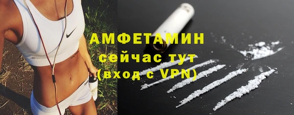индика Иннополис
