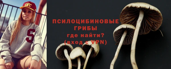 индика Иннополис