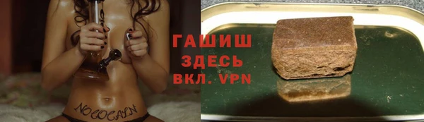 индика Иннополис