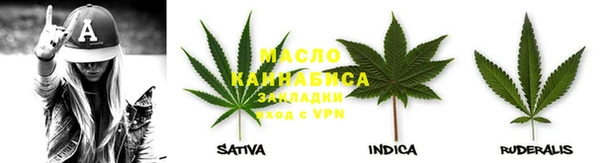 индика Иннополис