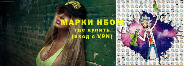 индика Иннополис