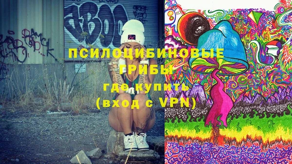 индика Иннополис