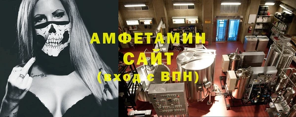 индика Иннополис