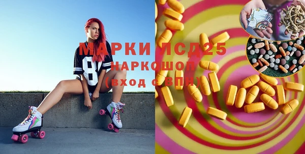 хмурый Инсар