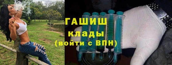 индика Иннополис