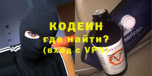 индика Иннополис