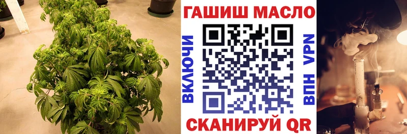 Купить где  Болотное  ТГК Wax 