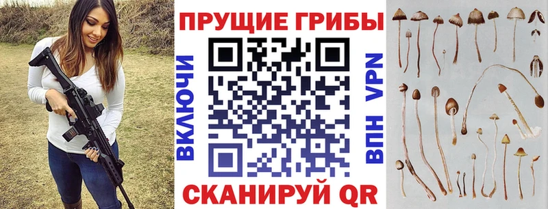 Купить где  Болотное  Галлюциногенные грибы MAGIC MUSHROOMS 