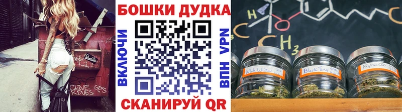 Купить закладки  Болотное  Бошки Шишки White Widow 